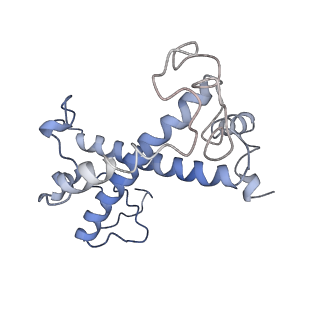 35018_8htu_5_v1-1
Cryo-EM structure of PpPSI-L