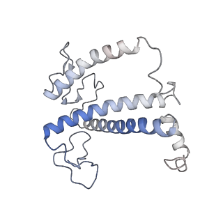 35018_8htu_6_v1-1
Cryo-EM structure of PpPSI-L