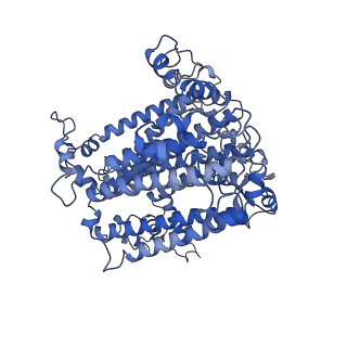 35018_8htu_B_v1-1
Cryo-EM structure of PpPSI-L
