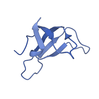 35018_8htu_E_v1-1
Cryo-EM structure of PpPSI-L