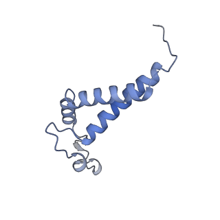 35018_8htu_G_v1-1
Cryo-EM structure of PpPSI-L