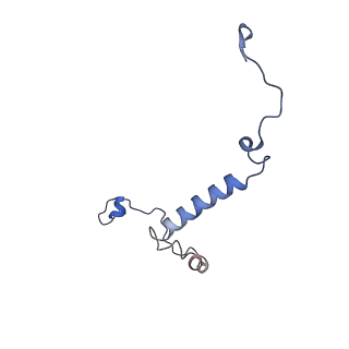 35018_8htu_H_v1-1
Cryo-EM structure of PpPSI-L