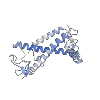 35018_8htu_V_v1-1
Cryo-EM structure of PpPSI-L