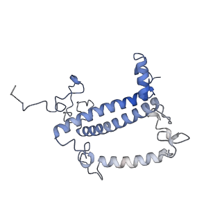 35018_8htu_W_v1-1
Cryo-EM structure of PpPSI-L