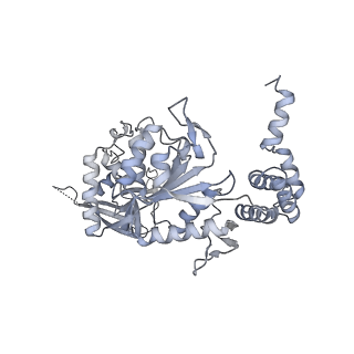 3954_6hts_A_v1-1
Cryo-EM structure of the human INO80 complex bound to nucleosome