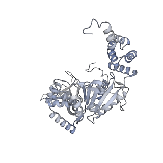 3954_6hts_B_v1-1
Cryo-EM structure of the human INO80 complex bound to nucleosome