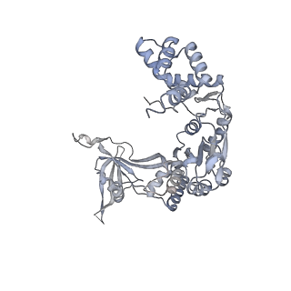 3954_6hts_C_v1-1
Cryo-EM structure of the human INO80 complex bound to nucleosome