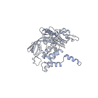 3954_6hts_E_v1-1
Cryo-EM structure of the human INO80 complex bound to nucleosome