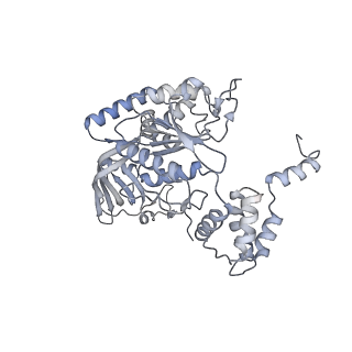 3954_6hts_F_v1-1
Cryo-EM structure of the human INO80 complex bound to nucleosome