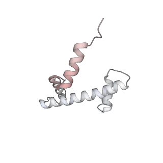 3954_6hts_I_v1-1
Cryo-EM structure of the human INO80 complex bound to nucleosome
