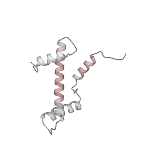 3954_6hts_M_v1-1
Cryo-EM structure of the human INO80 complex bound to nucleosome