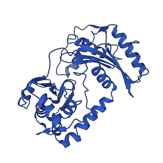 0262_6hu9_B_v1-4
III2-IV2 mitochondrial respiratory supercomplex from S. cerevisiae