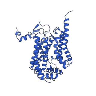 0262_6hu9_C_v1-4
III2-IV2 mitochondrial respiratory supercomplex from S. cerevisiae