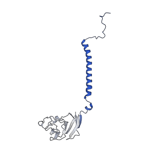 0262_6hu9_E_v1-4
III2-IV2 mitochondrial respiratory supercomplex from S. cerevisiae