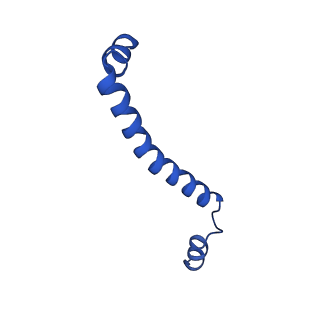 0262_6hu9_I_v1-4
III2-IV2 mitochondrial respiratory supercomplex from S. cerevisiae