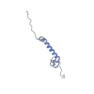 0262_6hu9_J_v1-4
III2-IV2 mitochondrial respiratory supercomplex from S. cerevisiae