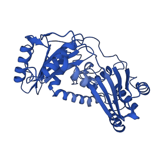 0262_6hu9_M_v1-4
III2-IV2 mitochondrial respiratory supercomplex from S. cerevisiae