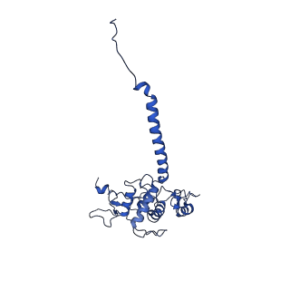 0262_6hu9_O_v1-4
III2-IV2 mitochondrial respiratory supercomplex from S. cerevisiae