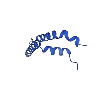 0262_6hu9_Q_v1-4
III2-IV2 mitochondrial respiratory supercomplex from S. cerevisiae