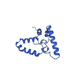 0262_6hu9_R_v1-4
III2-IV2 mitochondrial respiratory supercomplex from S. cerevisiae