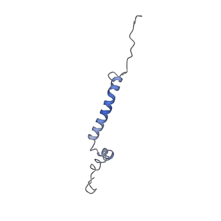 0262_6hu9_U_v1-4
III2-IV2 mitochondrial respiratory supercomplex from S. cerevisiae
