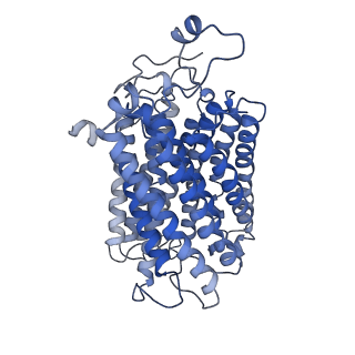 0262_6hu9_a_v1-4
III2-IV2 mitochondrial respiratory supercomplex from S. cerevisiae