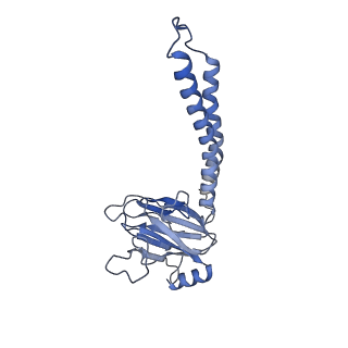 0262_6hu9_b_v1-4
III2-IV2 mitochondrial respiratory supercomplex from S. cerevisiae
