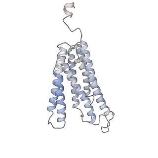 0262_6hu9_c_v1-4
III2-IV2 mitochondrial respiratory supercomplex from S. cerevisiae