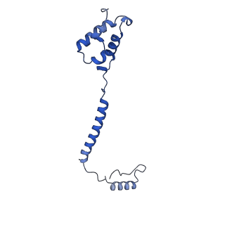 0262_6hu9_e_v1-4
III2-IV2 mitochondrial respiratory supercomplex from S. cerevisiae