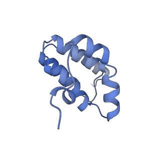 0262_6hu9_f_v1-4
III2-IV2 mitochondrial respiratory supercomplex from S. cerevisiae