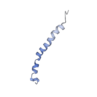 0262_6hu9_l_v1-4
III2-IV2 mitochondrial respiratory supercomplex from S. cerevisiae