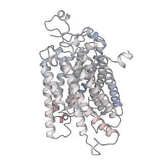 0262_6hu9_m_v1-4
III2-IV2 mitochondrial respiratory supercomplex from S. cerevisiae