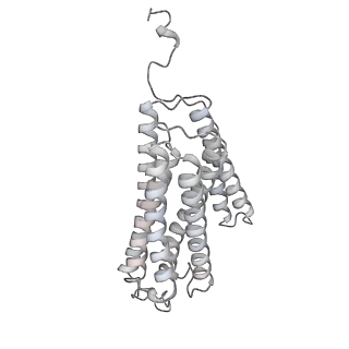 0262_6hu9_o_v1-4
III2-IV2 mitochondrial respiratory supercomplex from S. cerevisiae