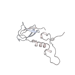 0262_6hu9_p_v1-4
III2-IV2 mitochondrial respiratory supercomplex from S. cerevisiae