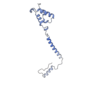 0262_6hu9_q_v1-4
III2-IV2 mitochondrial respiratory supercomplex from S. cerevisiae