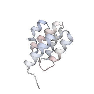 0262_6hu9_r_v1-4
III2-IV2 mitochondrial respiratory supercomplex from S. cerevisiae