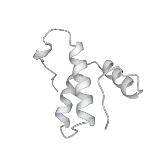 0262_6hu9_v_v1-4
III2-IV2 mitochondrial respiratory supercomplex from S. cerevisiae