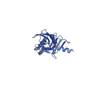 0275_6hug_A_v1-2
CryoEM structure of human full-length alpha1beta3gamma2L GABA(A)R in complex with picrotoxin and megabody Mb38.