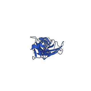 0275_6hug_C_v1-2
CryoEM structure of human full-length alpha1beta3gamma2L GABA(A)R in complex with picrotoxin and megabody Mb38.
