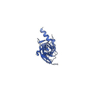 0275_6hug_D_v1-2
CryoEM structure of human full-length alpha1beta3gamma2L GABA(A)R in complex with picrotoxin and megabody Mb38.