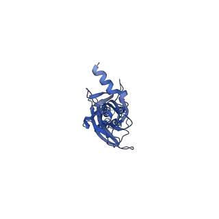 0275_6hug_D_v2-1
CryoEM structure of human full-length alpha1beta3gamma2L GABA(A)R in complex with picrotoxin and megabody Mb38.