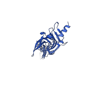0275_6hug_E_v1-2
CryoEM structure of human full-length alpha1beta3gamma2L GABA(A)R in complex with picrotoxin and megabody Mb38.