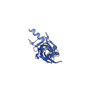 0279_6huj_A_v1-3
CryoEM structure of human full-length heteromeric alpha1beta3gamma2L GABA(A)R in complex with picrotoxin, GABA and megabody Mb38.