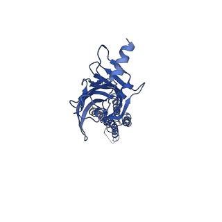 0279_6huj_B_v1-3
CryoEM structure of human full-length heteromeric alpha1beta3gamma2L GABA(A)R in complex with picrotoxin, GABA and megabody Mb38.