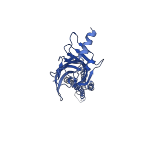 0279_6huj_B_v2-1
CryoEM structure of human full-length heteromeric alpha1beta3gamma2L GABA(A)R in complex with picrotoxin, GABA and megabody Mb38.