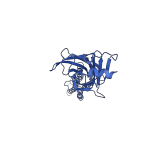 0279_6huj_C_v1-3
CryoEM structure of human full-length heteromeric alpha1beta3gamma2L GABA(A)R in complex with picrotoxin, GABA and megabody Mb38.