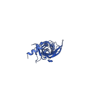 0279_6huj_E_v2-1
CryoEM structure of human full-length heteromeric alpha1beta3gamma2L GABA(A)R in complex with picrotoxin, GABA and megabody Mb38.