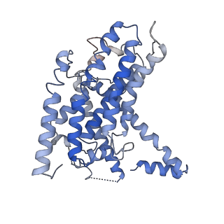 0281_6hum_A_v1-3
Structure of the photosynthetic complex I from Thermosynechococcus elongatus