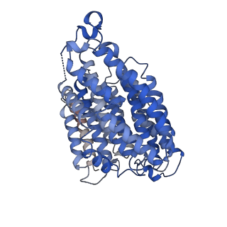 0281_6hum_B_v1-3
Structure of the photosynthetic complex I from Thermosynechococcus elongatus