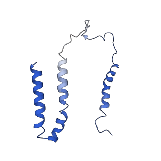 0281_6hum_C_v1-3
Structure of the photosynthetic complex I from Thermosynechococcus elongatus